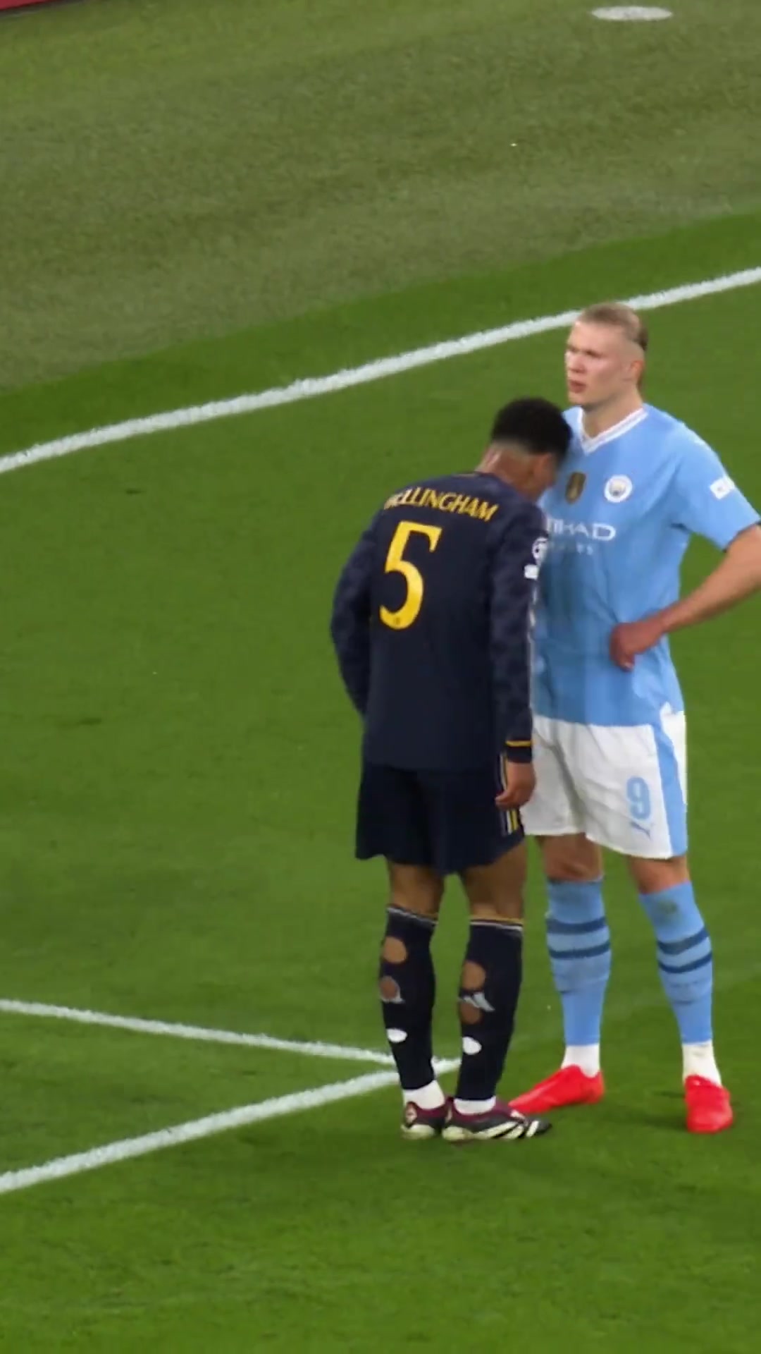 贝林哈兰德才是我心灵